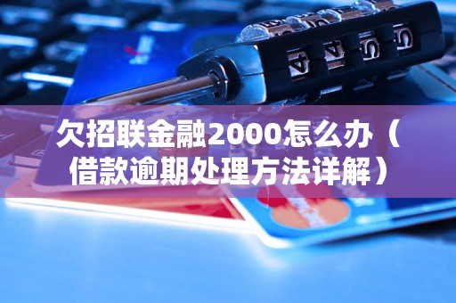 欠招联金融2000怎么办（借款逾期处理方法详解）