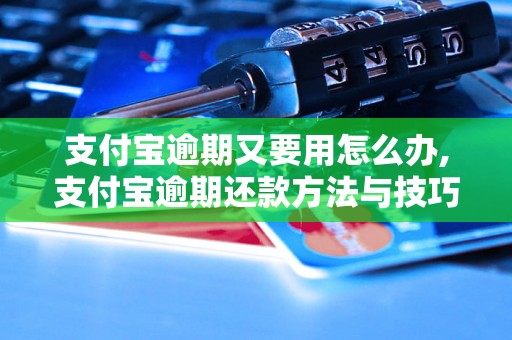 支付宝逾期又要用怎么办,支付宝逾期还款方法与技巧