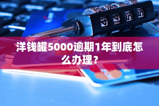 洋钱罐5000逾期1年到底怎么办理？