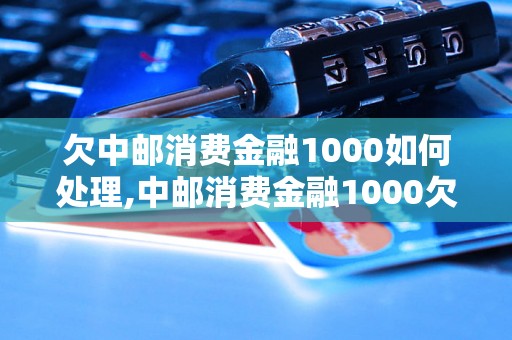 欠中邮消费金融1000如何处理,中邮消费金融1000欠款后果