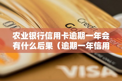 农业银行信用卡逾期一年会有什么后果（逾期一年信用卡处理方式）