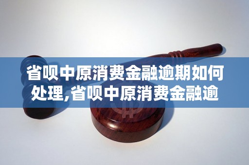 省呗中原消费金融逾期如何处理,省呗中原消费金融逾期后果