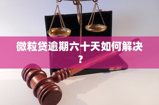 微粒贷逾期六十天如何解决？