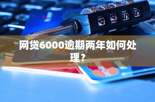 网贷6000逾期两年如何处理？