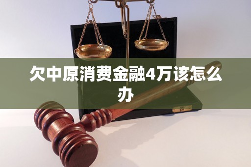 欠中原消费金融4万该怎么办