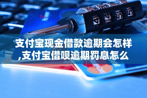 支付宝现金借款逾期会怎样,支付宝借呗逾期罚息怎么计算