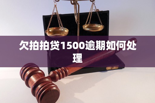 欠拍拍贷1500逾期如何处理