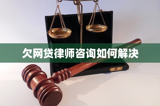 欠网贷律师咨询如何解决