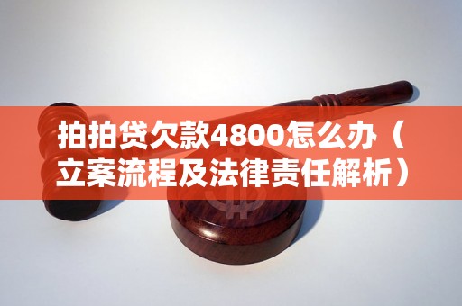 拍拍贷欠款4800怎么办（立案流程及法律责任解析）