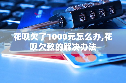 花呗欠了1000元怎么办,花呗欠款的解决办法