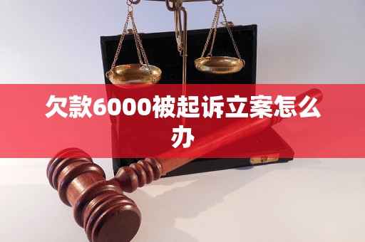 欠款6000被起诉立案怎么办