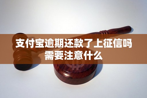 支付宝逾期还款了上征信吗需要注意什么