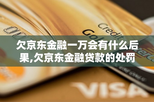 欠京东金融一万会有什么后果,欠京东金融贷款的处罚措施