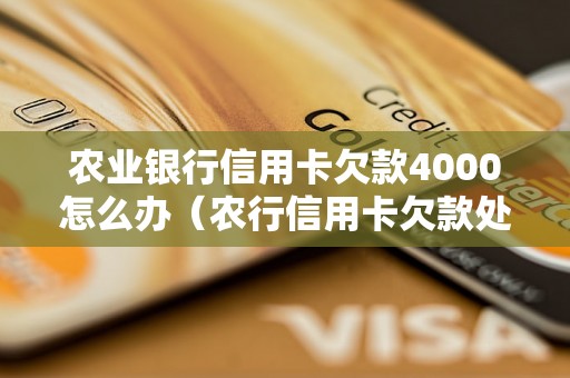 农业银行信用卡欠款4000怎么办（农行信用卡欠款处理方法）