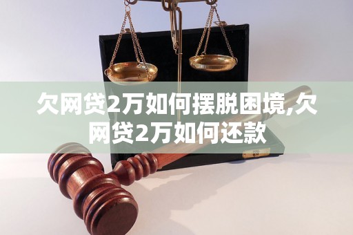 欠网贷2万如何摆脱困境,欠网贷2万如何还款