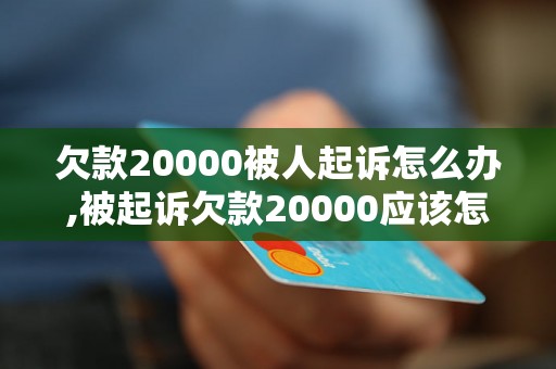 欠款20000被人起诉怎么办,被起诉欠款20000应该怎么应对