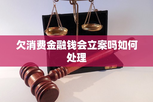 欠消费金融钱会立案吗如何处理