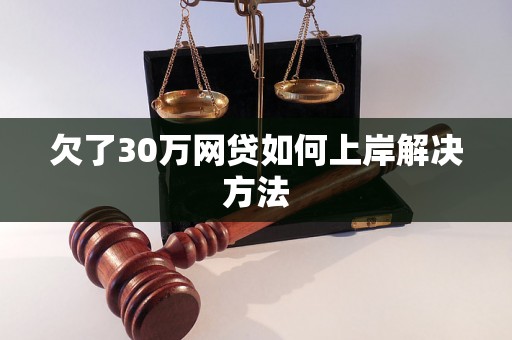 欠了30万网贷如何上岸解决方法