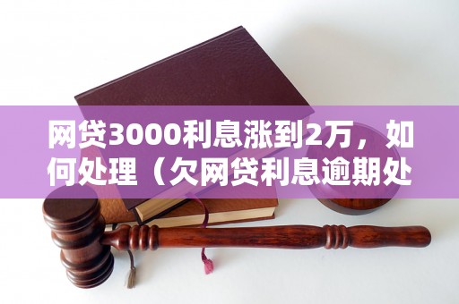 网贷3000利息涨到2万，如何处理（欠网贷利息逾期处理方法）