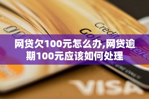 网贷欠100元怎么办,网贷逾期100元应该如何处理