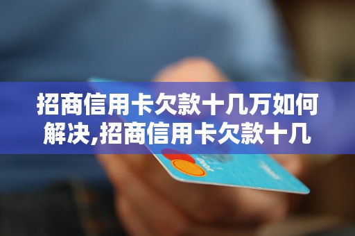 招商信用卡欠款十几万如何解决,招商信用卡欠款十几万怎么办