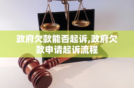 政府欠款能否起诉,政府欠款申请起诉流程