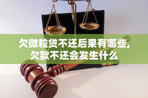 欠微粒贷不还后果有哪些,欠款不还会发生什么