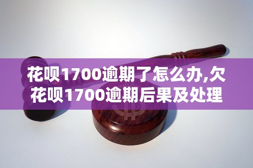 花呗1700逾期了怎么办,欠花呗1700逾期后果及处理方法