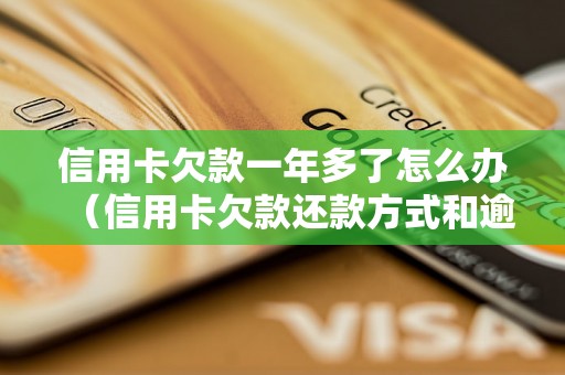 信用卡欠款一年多了怎么办（信用卡欠款还款方式和逾期利息解析）