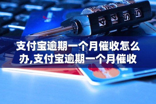 支付宝逾期一个月催收怎么办,支付宝逾期一个月催收流程解析