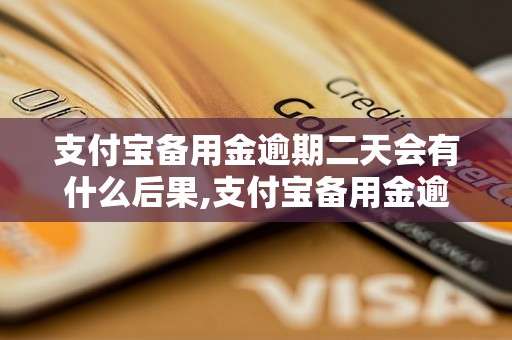 支付宝备用金逾期二天会有什么后果,支付宝备用金逾期罚款标准