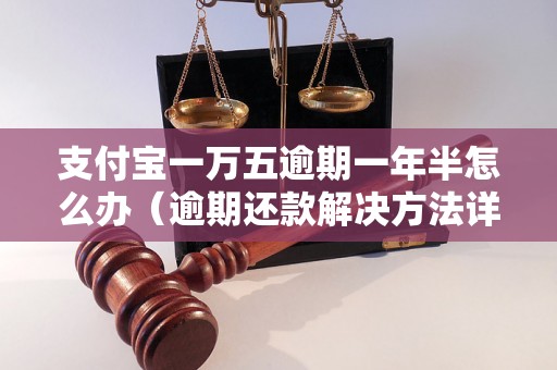 支付宝一万五逾期一年半怎么办（逾期还款解决方法详解）