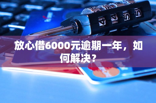 放心借6000元逾期一年，如何解决？