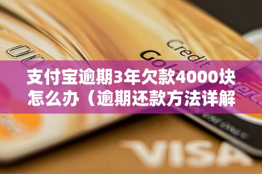 支付宝逾期3年欠款4000块怎么办（逾期还款方法详解）