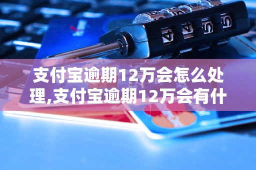 支付宝逾期12万会怎么处理,支付宝逾期12万会有什么后果