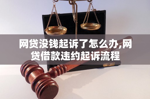 网贷没钱起诉了怎么办,网贷借款违约起诉流程