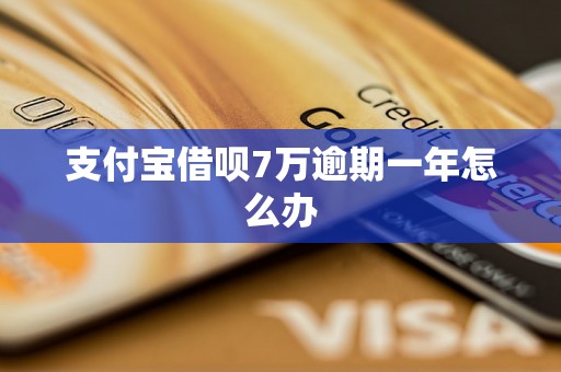 支付宝借呗7万逾期一年怎么办