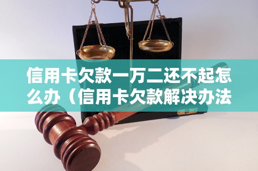 信用卡欠款一万二还不起怎么办（信用卡欠款解决办法详解）