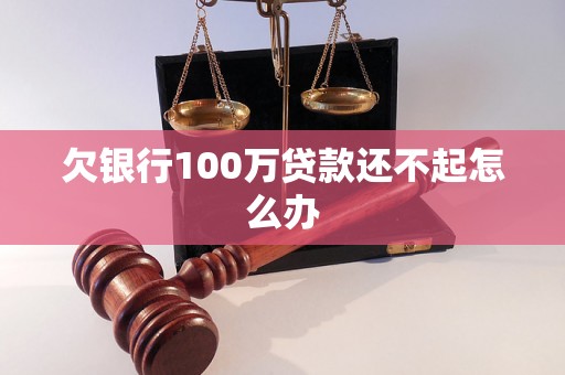 欠银行100万贷款还不起怎么办