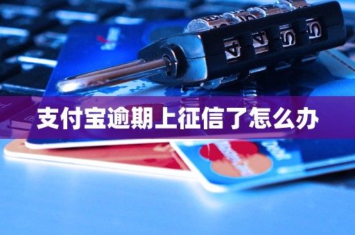 支付宝逾期上征信了怎么办