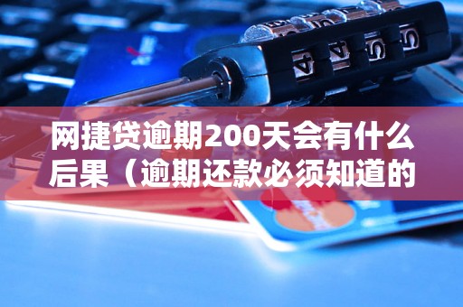 网捷贷逾期200天会有什么后果（逾期还款必须知道的事项）