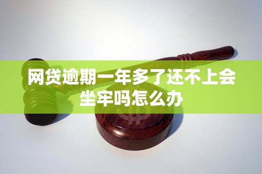 网贷逾期一年多了还不上会坐牢吗怎么办