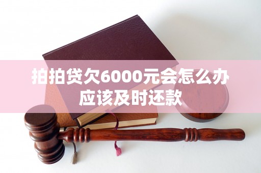 拍拍贷欠6000元会怎么办应该及时还款