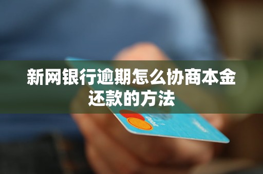 新网银行逾期怎么协商本金还款的方法