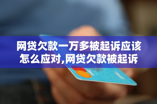 网贷欠款一万多被起诉应该怎么应对,网贷欠款被起诉后的解决办法