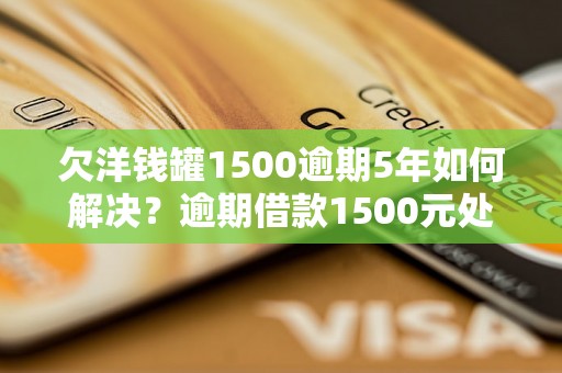 欠洋钱罐1500逾期5年如何解决？逾期借款1500元处理方法