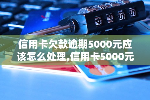 信用卡欠款逾期5000元应该怎么处理,信用卡5000元欠款逾期后果