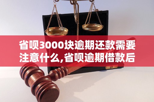 省呗3000块逾期还款需要注意什么,省呗逾期借款后果及处理办法