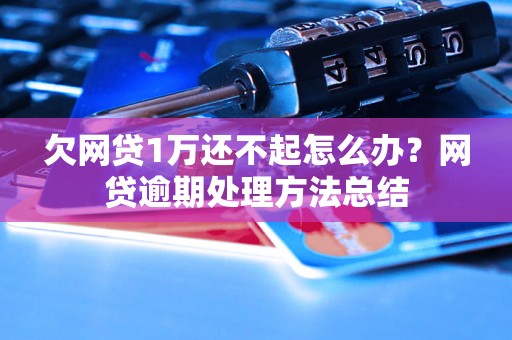 欠网贷1万还不起怎么办？网贷逾期处理方法总结