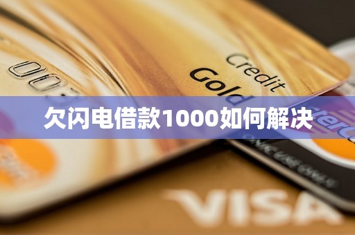 欠闪电借款1000如何解决